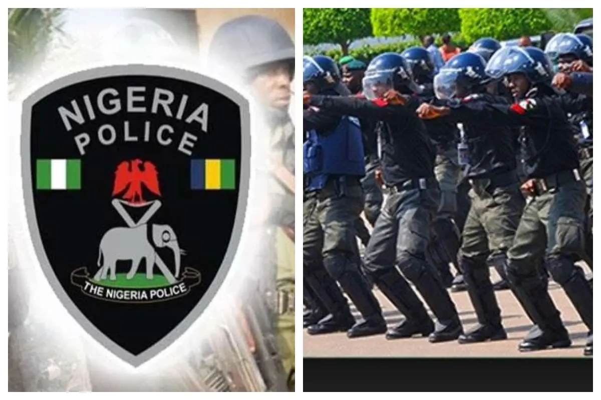 Climate change: Nigeria Police Force launches ‘Go Green Initiative’ in January – IGP