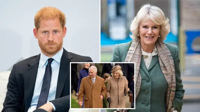 Prince Harry 'didn't want to be in the same room' as Queen Camilla when he spoke to the King about her cancer diagnosis, sources claim