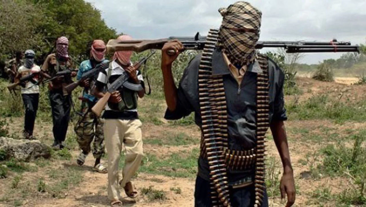 Terrorists are responsible for Nigeria's food shortages - Izuagbe, Public Affairs Analyst